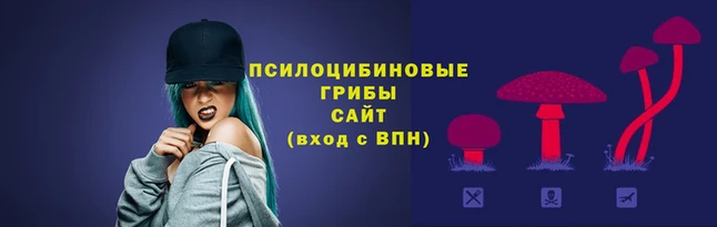 бошки Абдулино