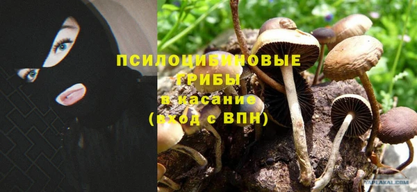 круглые Алексеевка