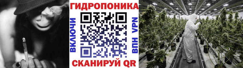 Бошки марихуана OG Kush купить наркоту Тихвин